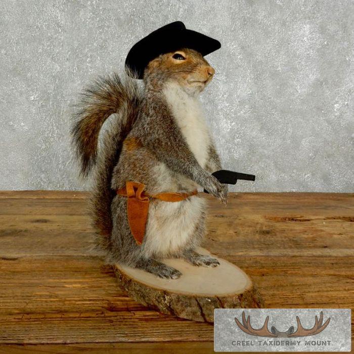 Cowboy Squirrel Novelty Taxidermy Mount For Sale