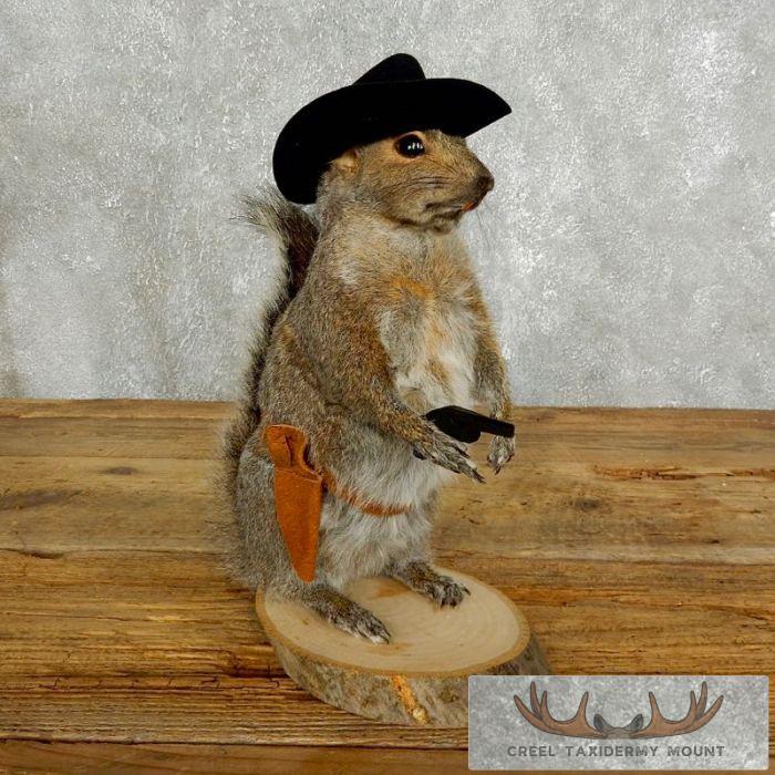 Cowboy Squirrel Novelty Taxidermy Mount For Sale