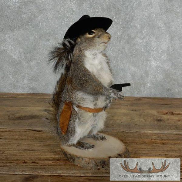 Cowboy Squirrel Novelty Taxidermy Mount For Sale