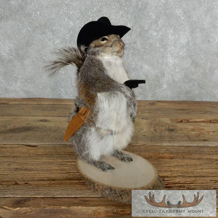 Cowboy Squirrel Novelty Taxidermy Mount For Sale
