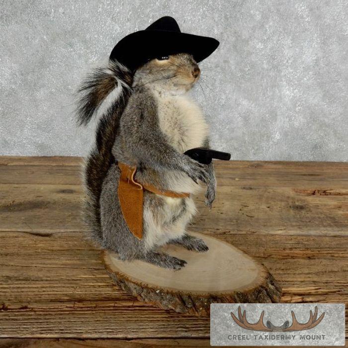 Cowboy Squirrel Novelty Taxidermy Mount For Sale