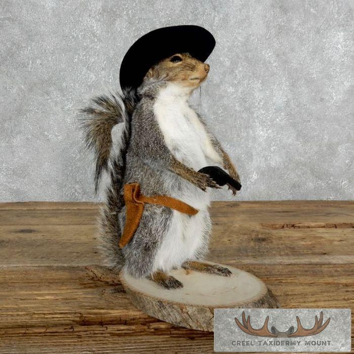Cowboy Squirrel Novelty Taxidermy Mount For Sale