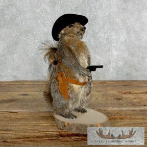 Cowboy Squirrel Novelty Taxidermy Mount Taxidermy