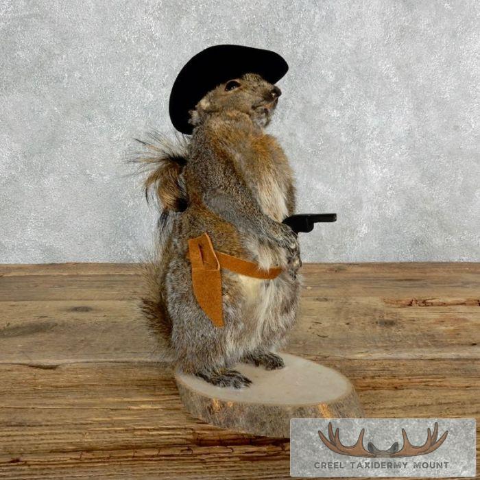 Cowboy Squirrel Novelty Taxidermy Mount For Sale