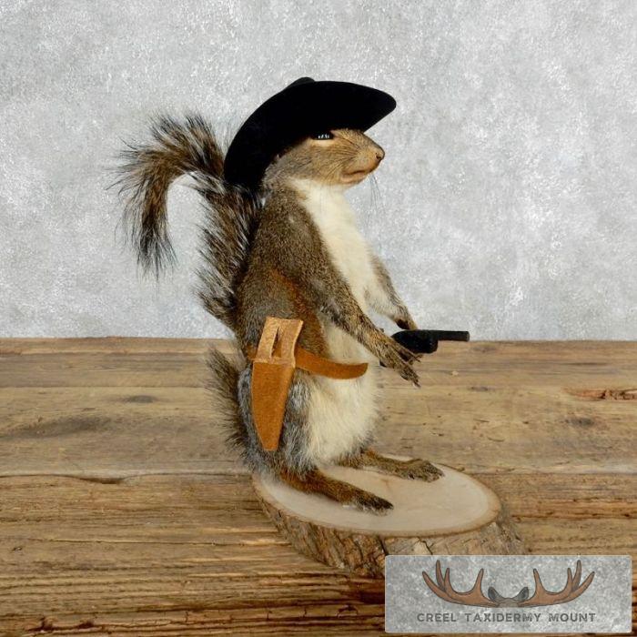 Cowboy Squirrel Novelty Taxidermy Mount For Sale