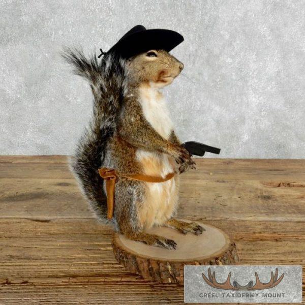 Cowboy Squirrel Novelty Taxidermy Mount For Sale