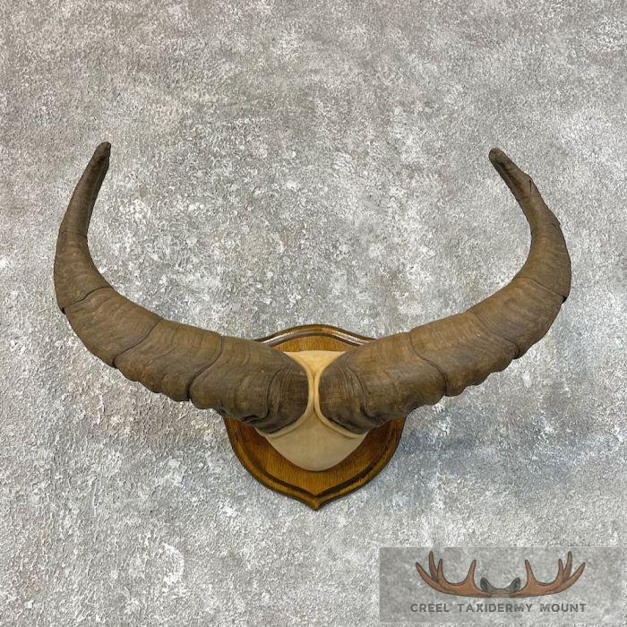 East-Caucasian Tur Plaque For Sale