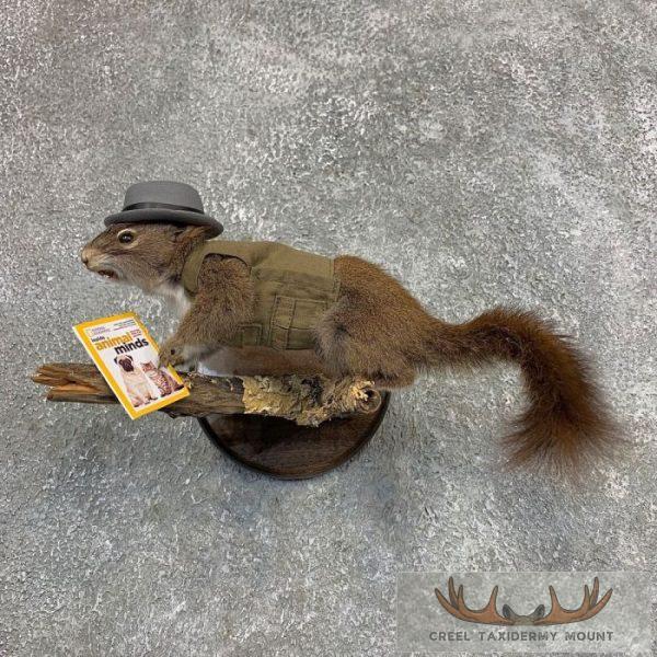Wildlife Explorer Novelty Taxidermy Mount For Sale