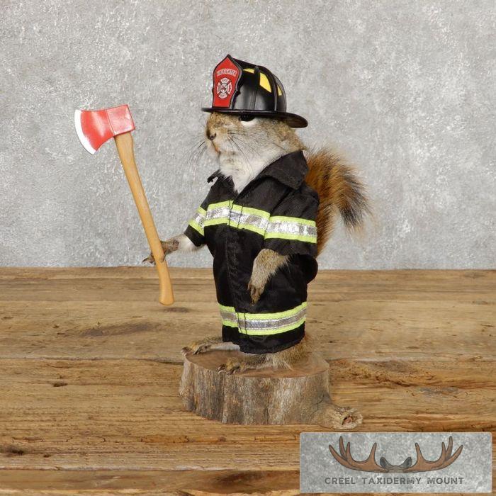 Firefighter Squirrel Novelty Taxidermy Mount For Sale - Creel Taxidermy