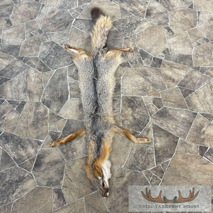 Grey Fox Tanned Hide For Sale