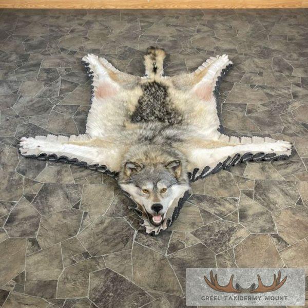 Grey Wolf Full Rug Taxidermy Mount For Sale