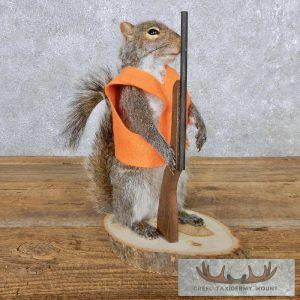 Novelty Gray Squirrel Taxidermy Mount Taxidermy