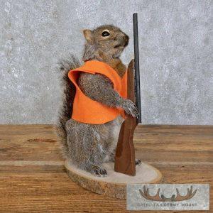 Novelty Gray Squirrel Taxidermy Mount Taxidermy