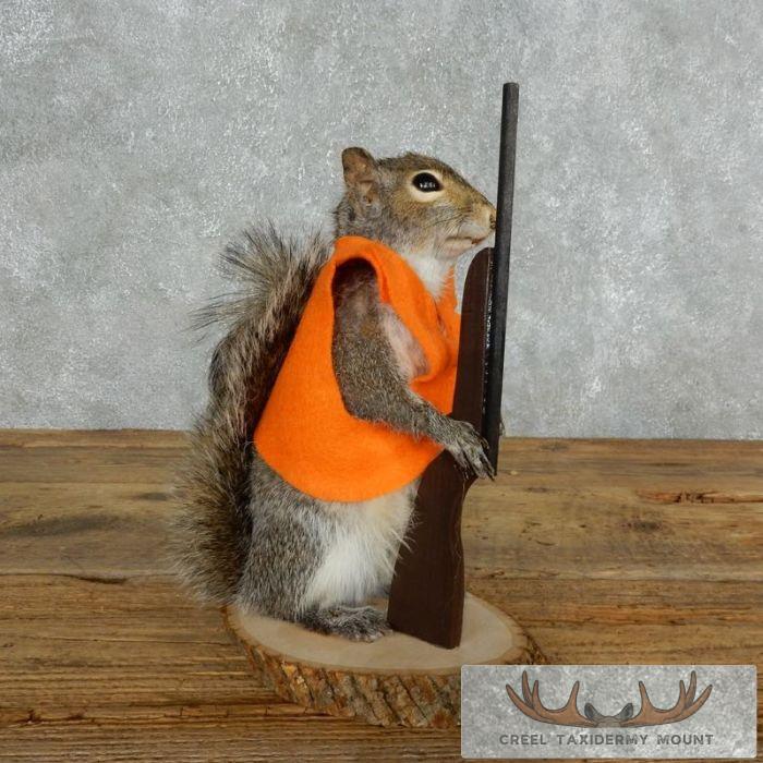 Novelty Gray Squirrel Taxidermy Mount For Sale