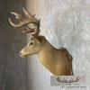 1932 Trophy Book Whitetail Deer Taxidermy Shoulder Mount For Sale - Image 5