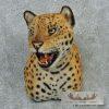 Reproduction Jaguar Shoulder Mount For Sale