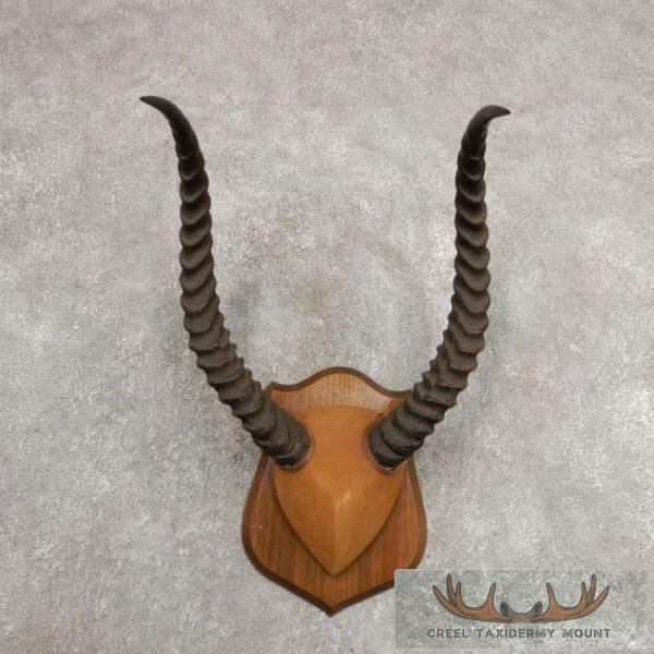Kob Plaque Taxidermy Shoulder Mount For Sale