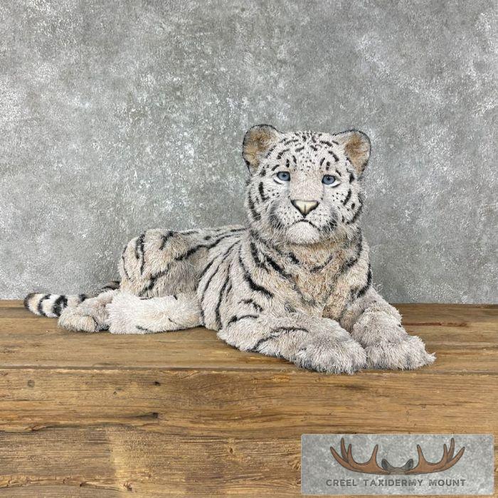 Reproduction White Tiger Cub Mount For Sale
