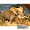 African Elephant Full Size Taxidermy Reproduction Mount For Sale