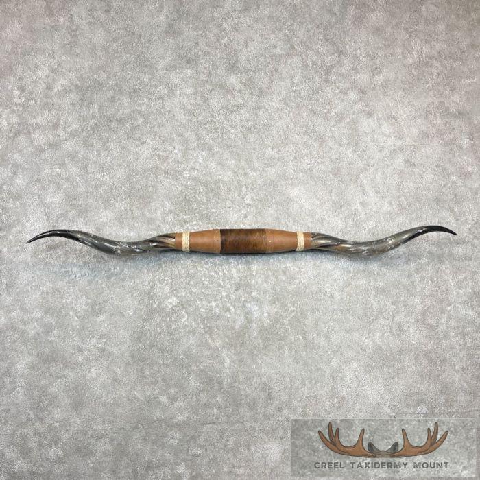 Longhorn Steer Plaque For Sale