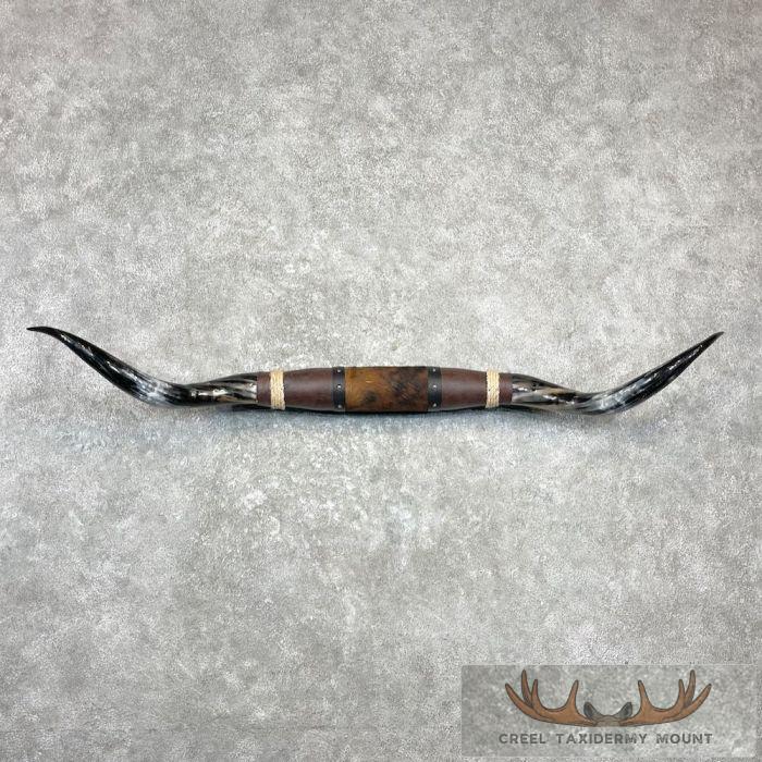 Longhorn Steer Plaque For Sale