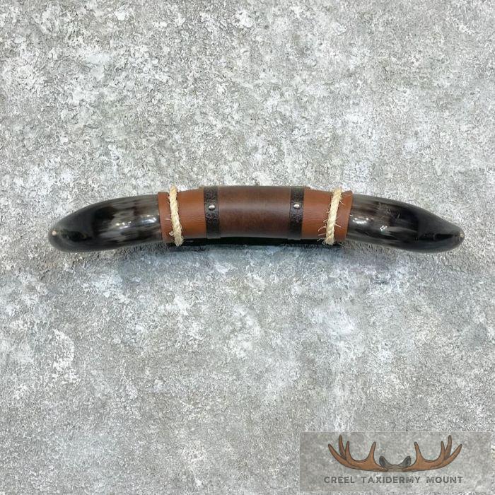 Longhorn Steer Plaque For Sale