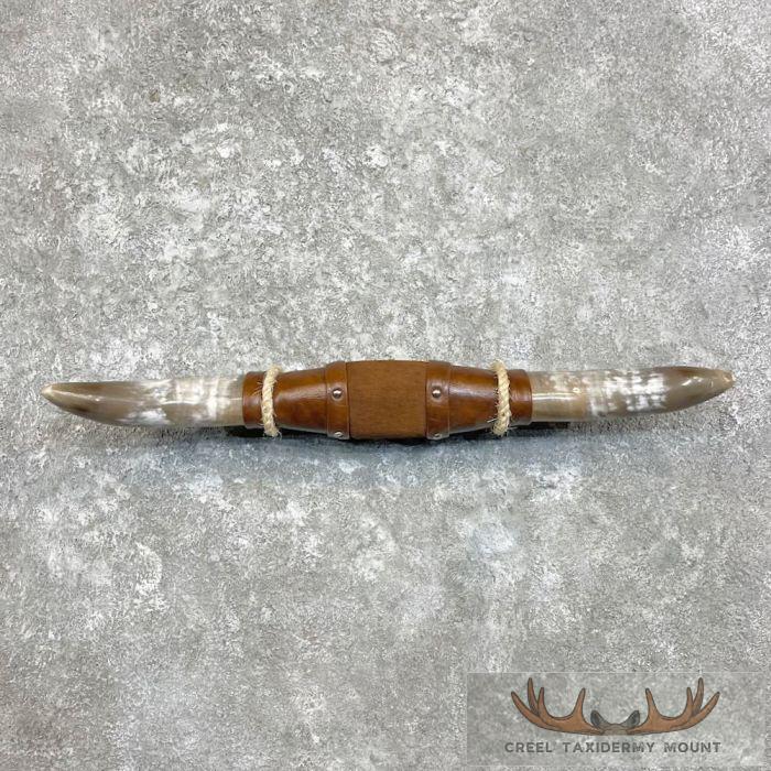 Longhorn Steer Plaque For Sale