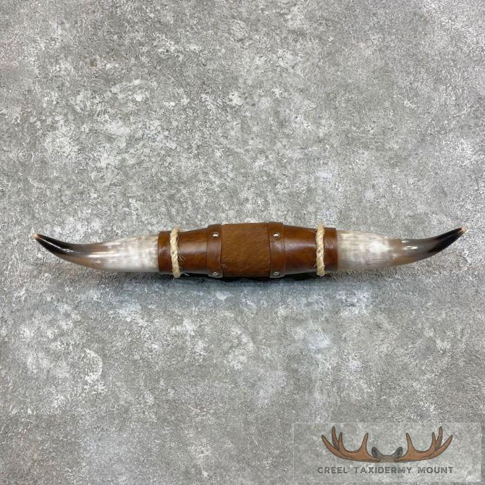 Longhorn Steer Plaque For Sale