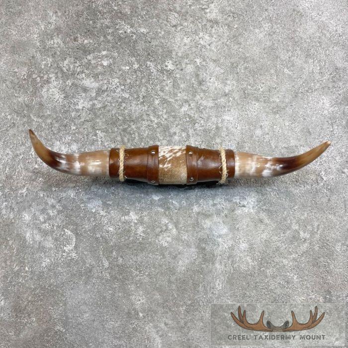 Longhorn Steer Plaque For Sale