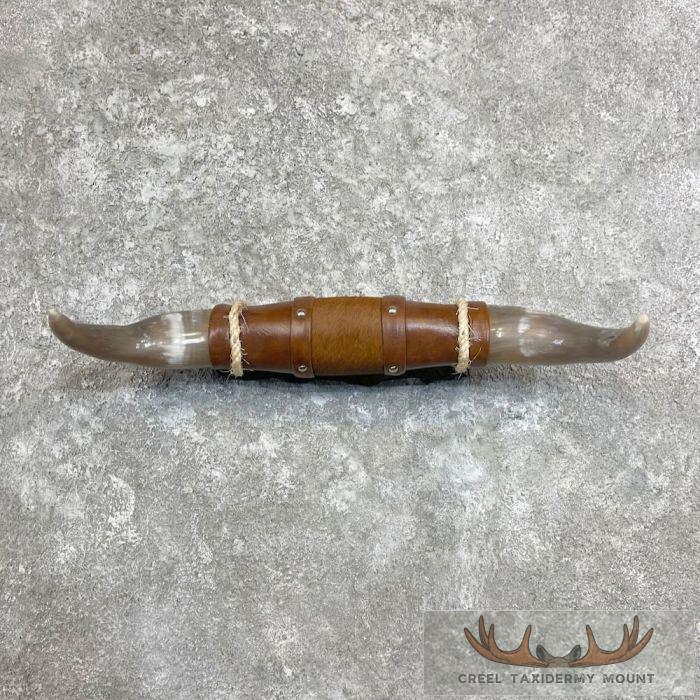 Longhorn Steer Plaque For Sale