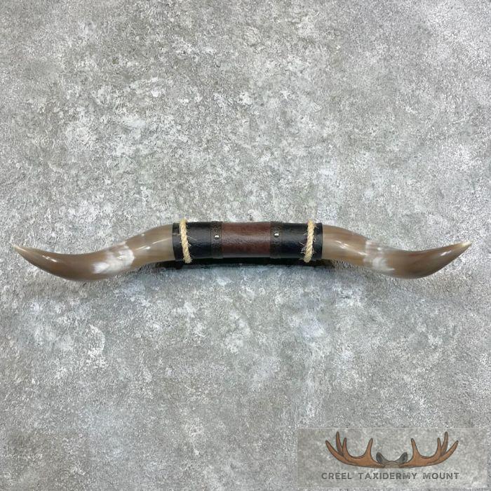 Longhorn Steer Plaque For Sale