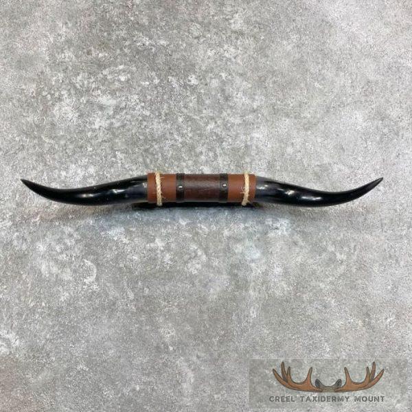 Longhorn Steer Plaque For Sale