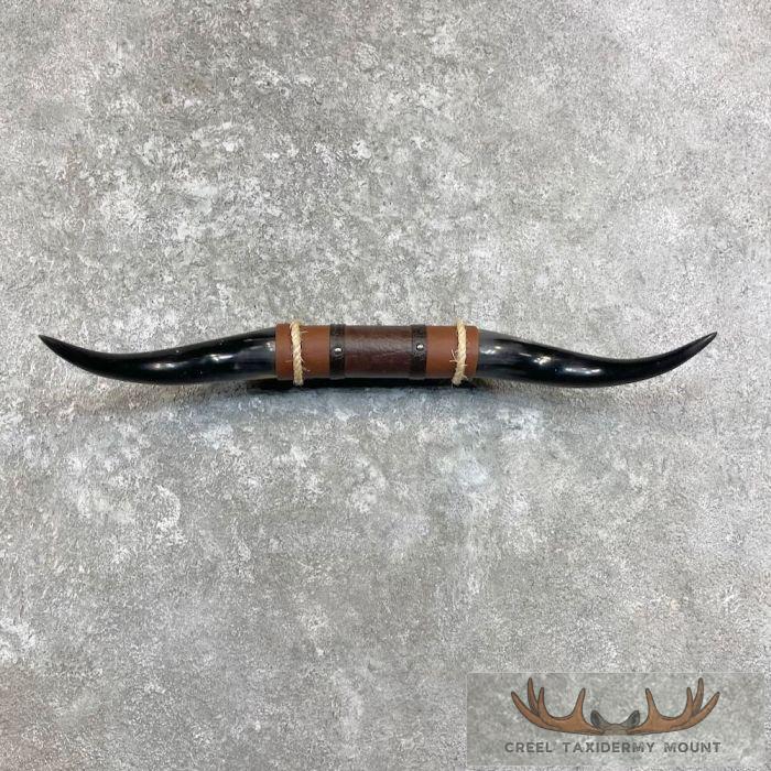 Longhorn Steer Plaque For Sale