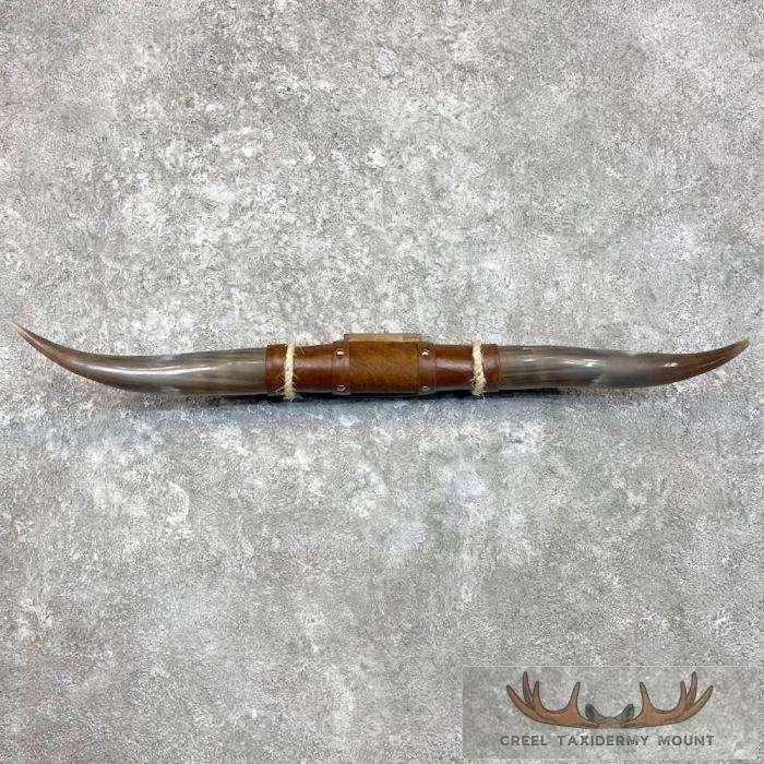 Longhorn Steer Plaque For Sale