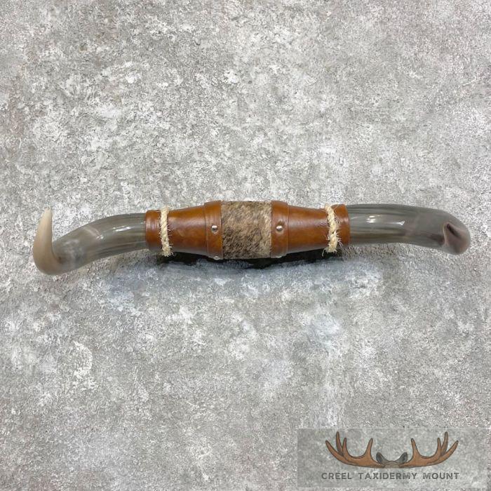 Longhorn Steer Plaque For Sale