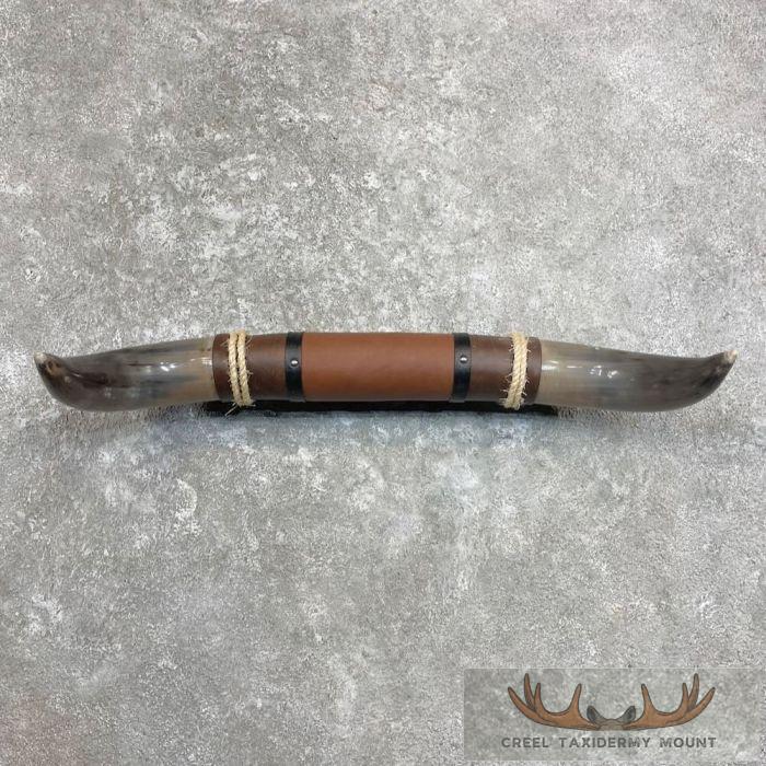 Longhorn Steer Plaque For Sale