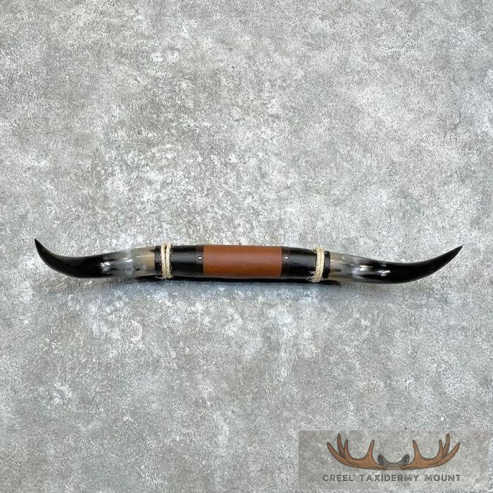 Longhorn Steer Plaque For Sale