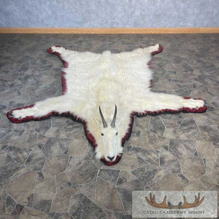 Mount Goat Rug Mountain Goat Full Rug Taxidermy Mount For Sale - Creel Taxidermy