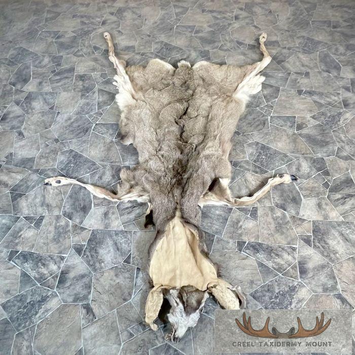 Mule Deer Tanned Hide For Sale