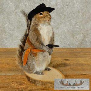Cowboy Squirrel Novelty Taxidermy Mount Taxidermy