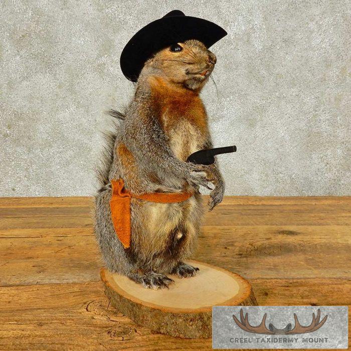 thumbnail interactive-video image 1 of Cowboy Squirrel Taxidermy Animal Statue On Base - Life Size - American Natural Resources - Made In USA 1 of 6