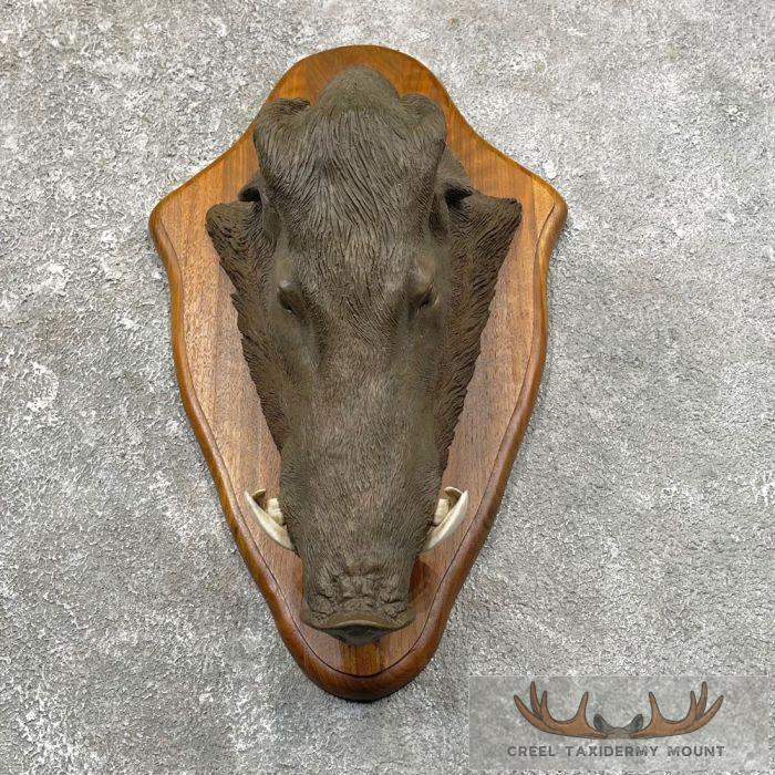 One-of-a-kind Boar Cast For Sale