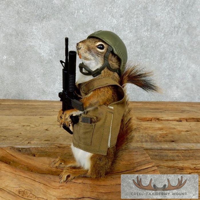 Patriot Squirrel Novelty Taxidermy Mount For Sale