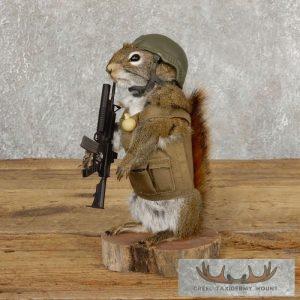 Patriot Squirrel Novelty Taxidermy Mount Taxidermy