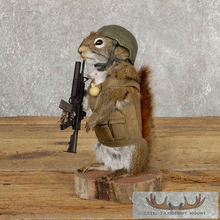 Patriot Squirrel Novelty Taxidermy Mount For Sale