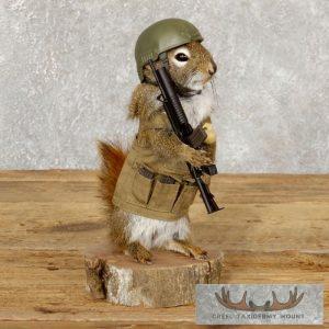 Patriot Squirrel Novelty Taxidermy Mount Taxidermy