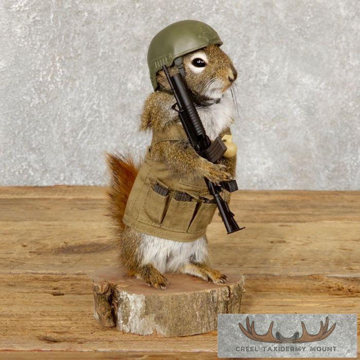 Patriot Squirrel Novelty Taxidermy Mount For Sale