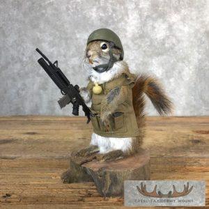 Patriot Squirrel Novelty Taxidermy Mount Taxidermy