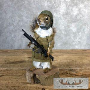 Patriot Squirrel Novelty Taxidermy Mount Taxidermy