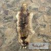 Raccoon Tanned Hide Taxidermy For Sale